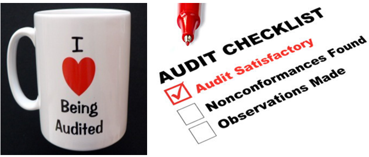 satisfactory audit checklist